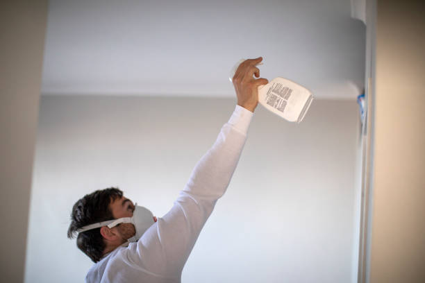 Professional Mold Removal in Mogadore, OH